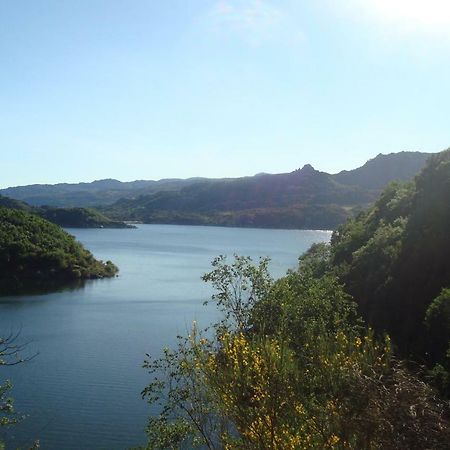 Casa Do Nascente Villa Paredes do Rio ภายนอก รูปภาพ
